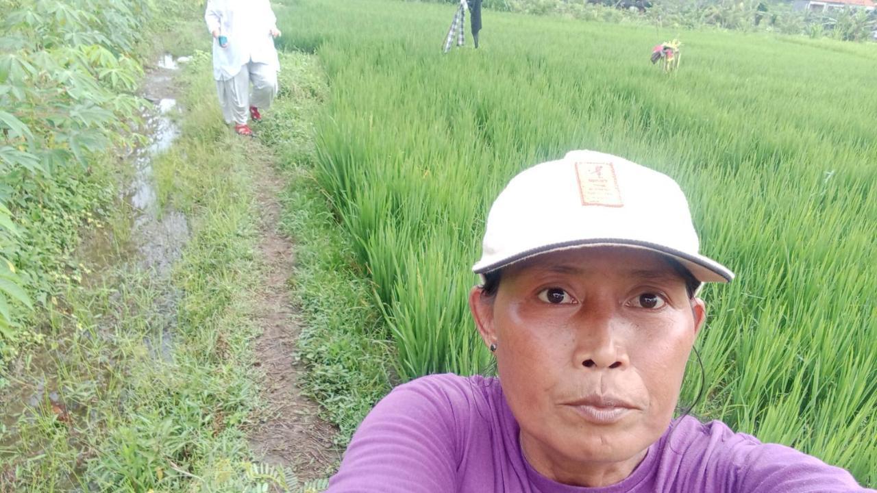 House Market Sidemen  Luaran gambar