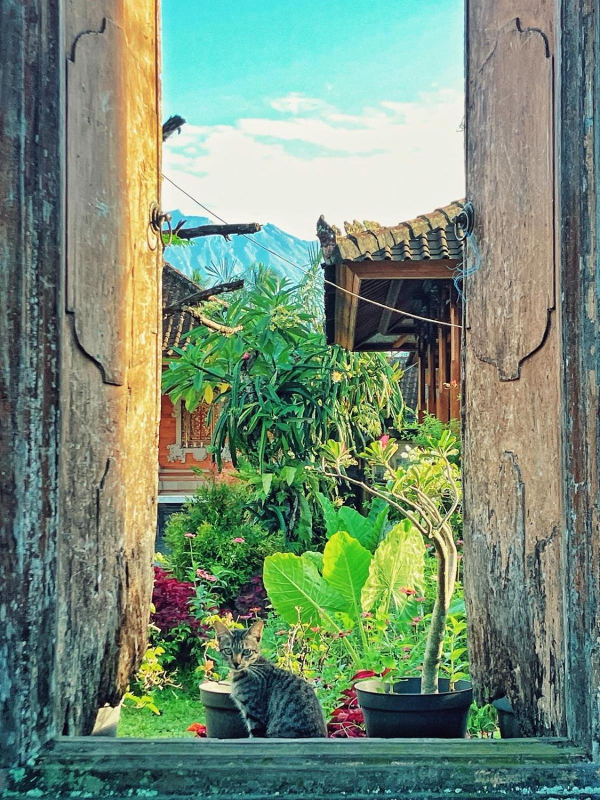 House Market Sidemen  Luaran gambar