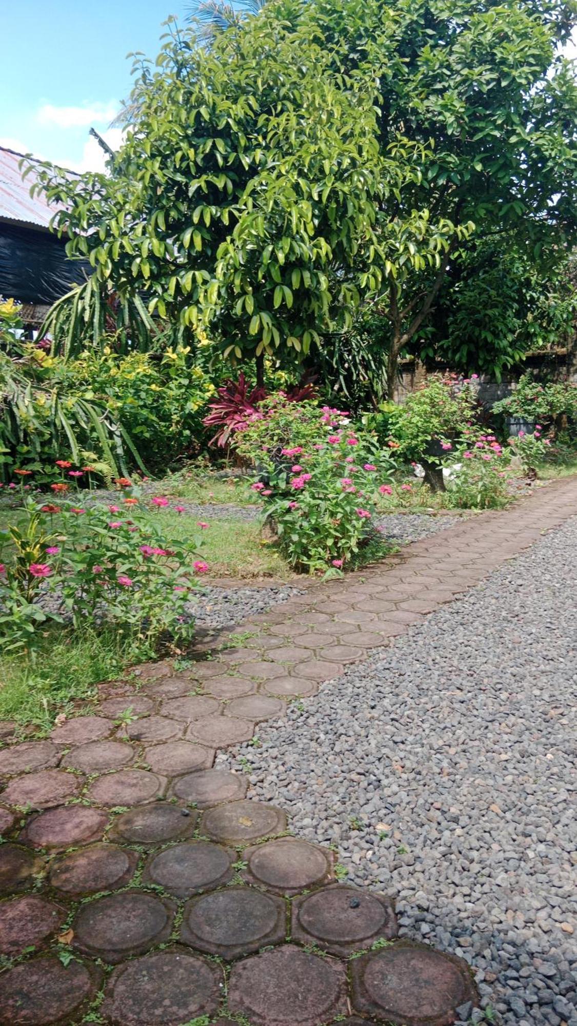 House Market Sidemen  Bilik gambar