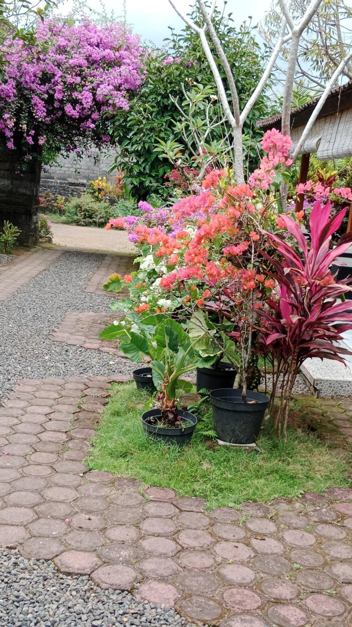 House Market Sidemen  Bilik gambar