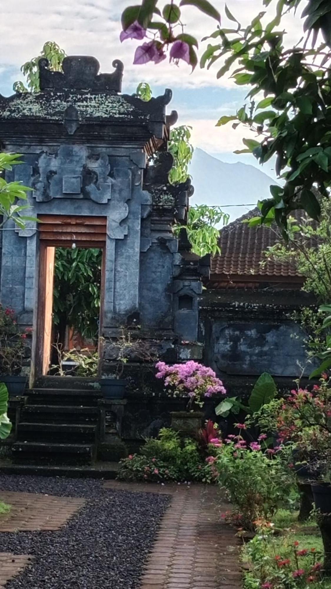 House Market Sidemen  Bilik gambar