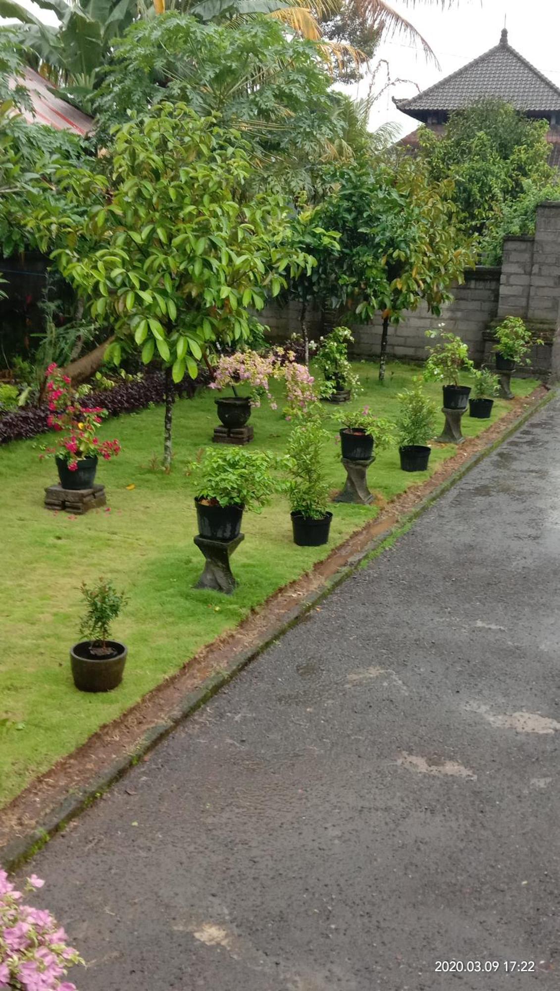 House Market Sidemen  Bilik gambar