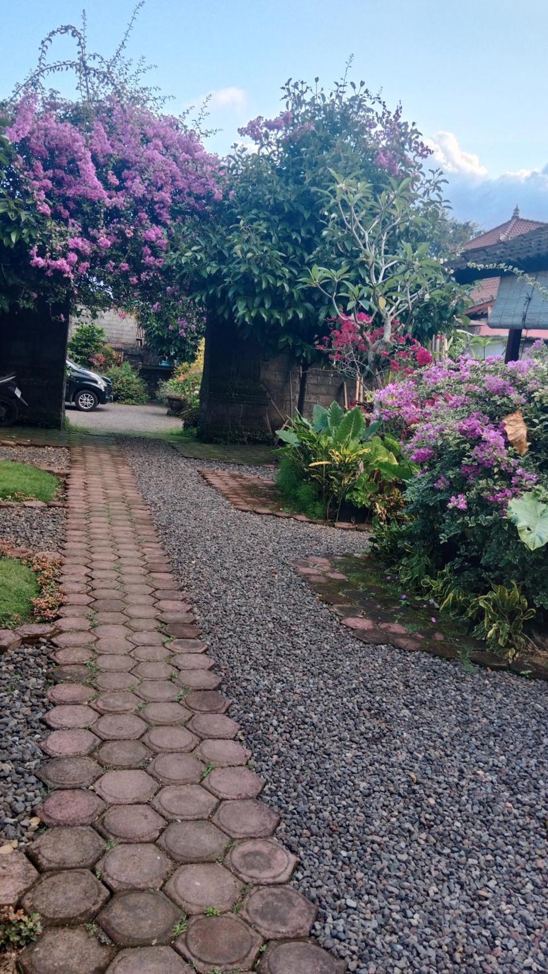House Market Sidemen  Bilik gambar